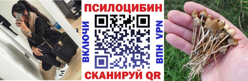 Псилоцибиновые грибы Cubensis  Щёлкино 